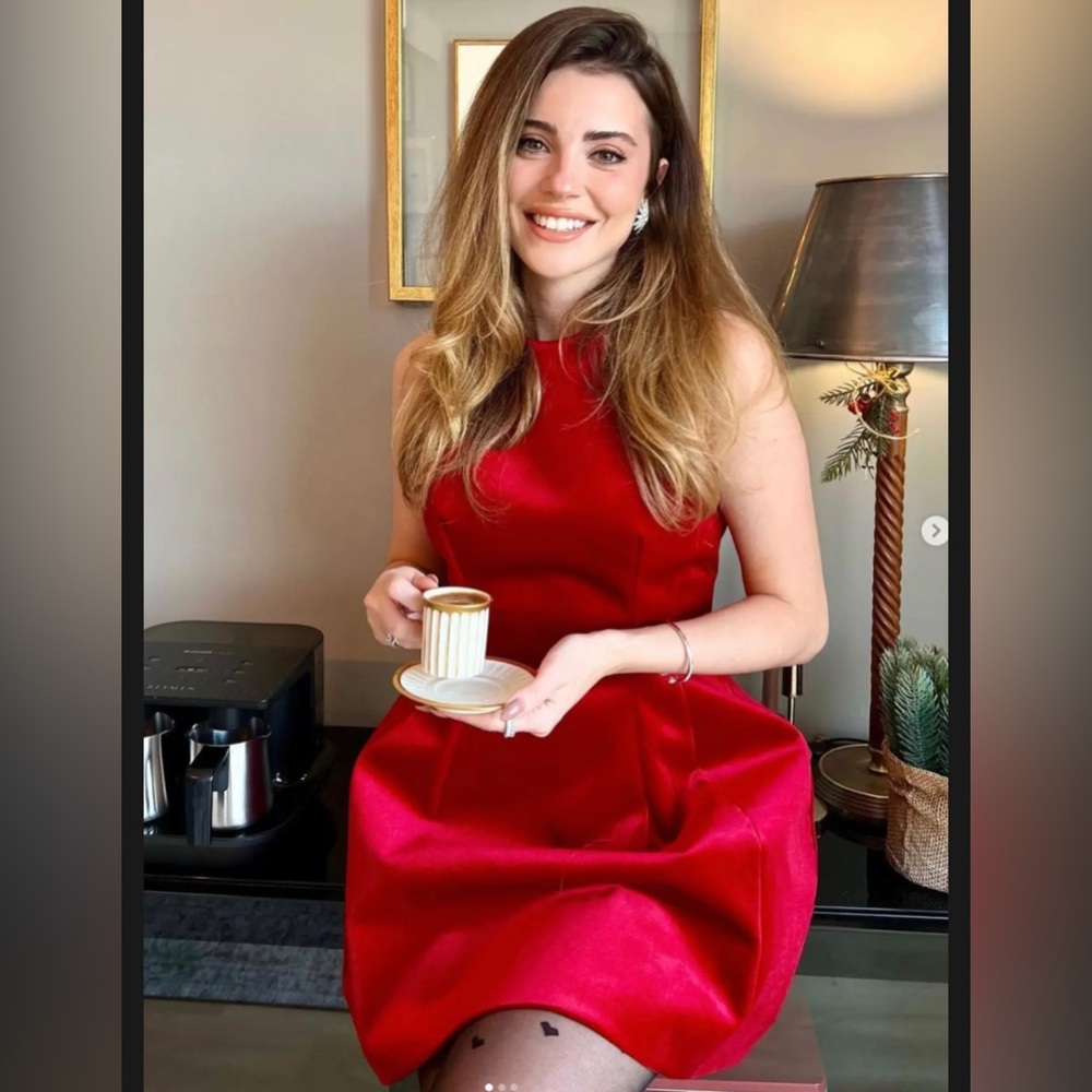 COPY - Zara viral dress - Picture 4 of 6